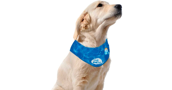 Source Pet Self Cooling Dog Ice Bandana Dissipation Triangle Scarfs  Kerchiefs Dog Cat Iced Dog Cooling Collar for Summer on m.