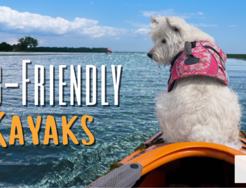 A Pet Parent’s Guide to Dog-Friendly Kayaks