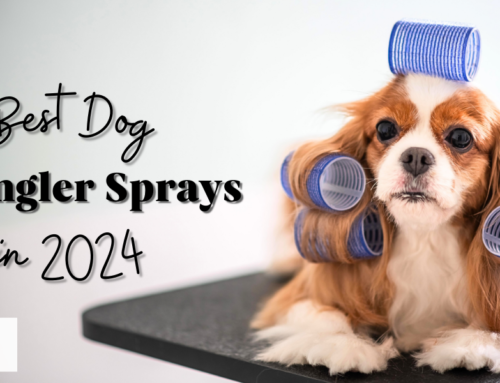 The Best Dog Grooming Detangler Sprays in 2024